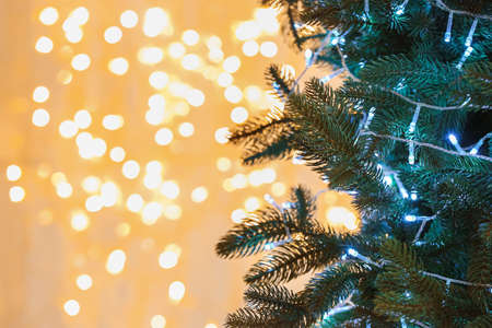 Fir tree with Christmas lights against blurred lights