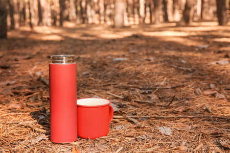 flask with hot tea and mug in forestの写真素材
