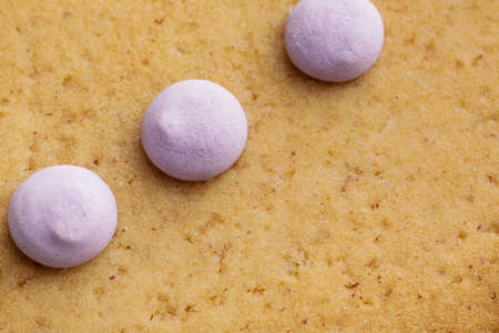 Tasty gingerbread cookie, closeup view