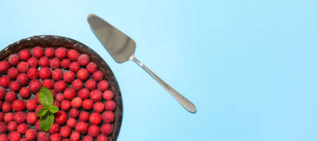 Tasty raspberry pie and spatula on color background with space for text