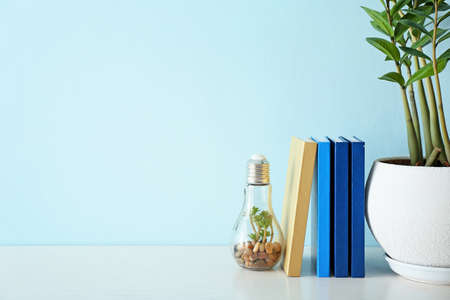 Books, houseplant and decor on table near color wall