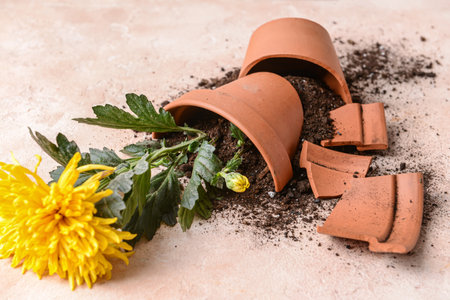 Broken flower pot on color backgroundの写真素材