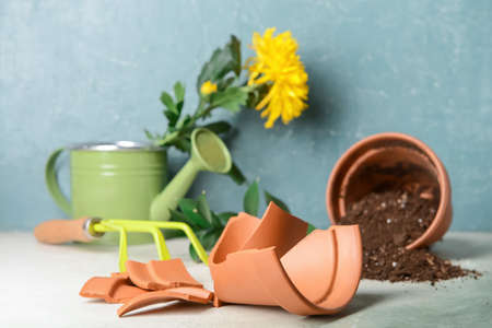 Broken flower pot and gardening tools on tableの写真素材