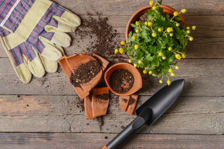 Broken flower pot and gardening tools on wooden background