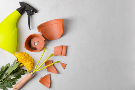 Broken flower pot and gardening tools on light backgroundの写真素材