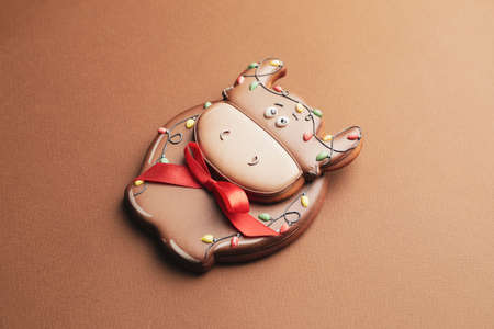 Tasty Christmas cookie in shape of bull on color backgroundの写真素材