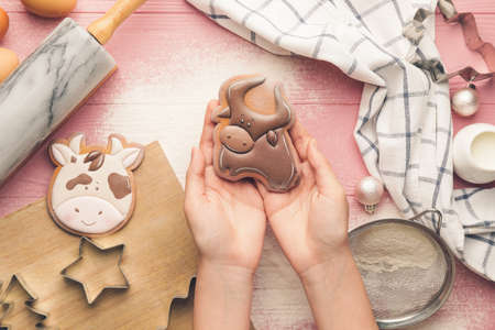 Hands with tasty Christmas cookie in shape of bull and ingredients on wooden backgroundの写真素材