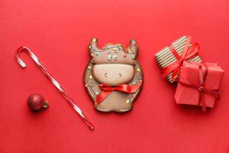 Tasty cookie in shape of bull and Christmas decor on color backgroundの写真素材