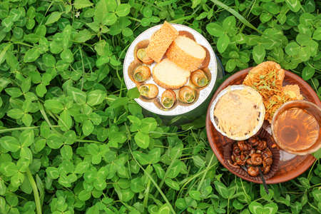 Plates with different snail dishes and glass of wine on green grass