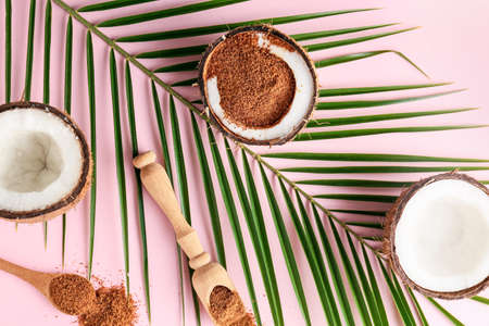 Sweet coconuts and sugar on color background