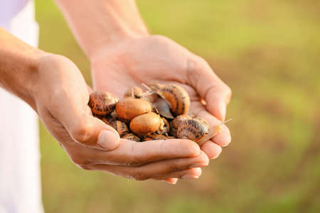 Worker at snail farm, closeupの写真素材