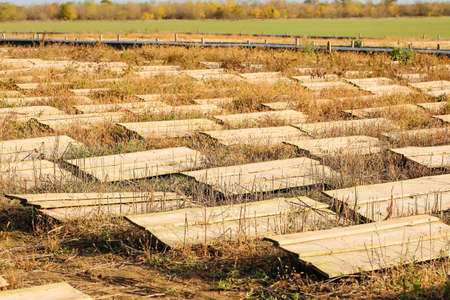 View of snail farm in countrysideの写真素材