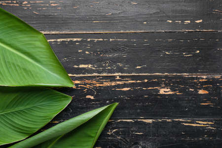 Green banana leaves on wooden backgroundの写真素材