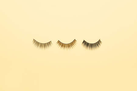 Different false eyelashes on color backgroundの写真素材