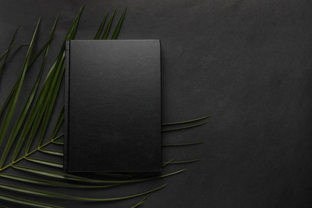 Blank book and palm leaf on dark backgroundの写真素材