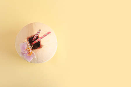 Fresh coconut on color backgroundの写真素材