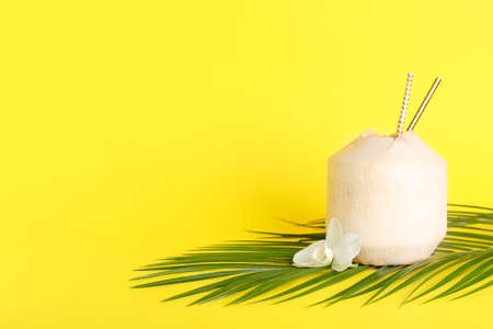 Fresh coconut on color backgroundの写真素材