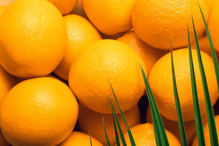 Many ripe oranges as background