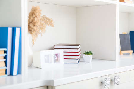 Shelf unit with books, clock and houseplant, closeupの写真素材