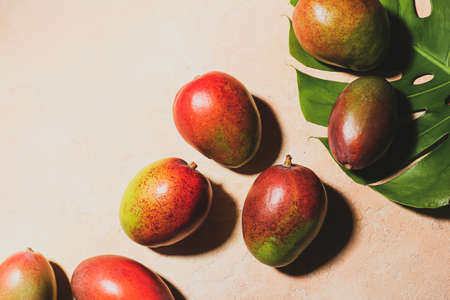 Sweet ripe mangoes and tropical leaf on color backgroundの写真素材