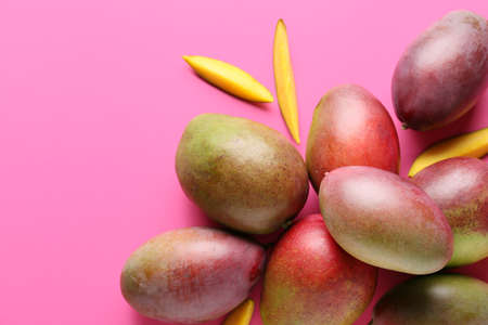 Sweet ripe mangoes on color backgroundの写真素材