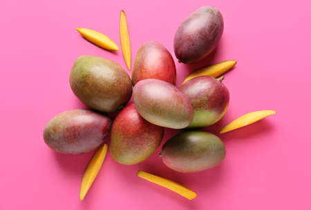 Sweet ripe mangoes on color backgroundの写真素材