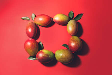Frame made of sweet ripe mangoes on color background
