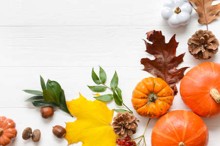 Beautiful autumn composition on white wooden backgroundの写真素材