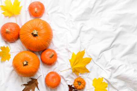 Beautiful autumn composition on white fabric backgroundの写真素材