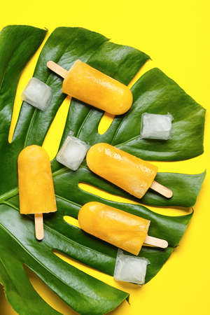 Composition with mango ice cream on color backgroundの写真素材