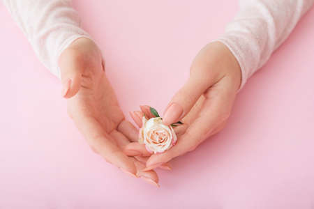 Female hands with beautiful flower on color backgroundの写真素材