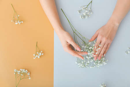 Female hands with beautiful flowers on colorful backgroundの写真素材