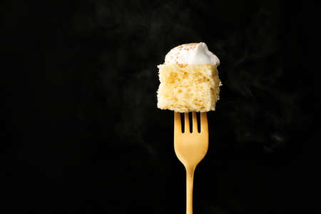 Fork with piece of cake on dark backgroundの写真素材