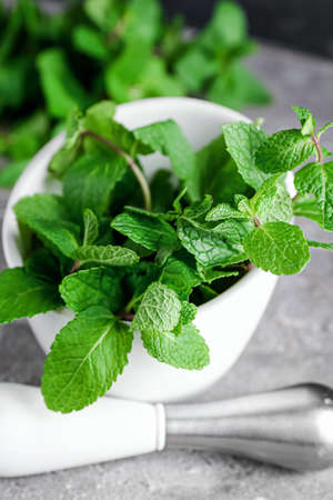 Mortar with mint and pestle on gray backgroundの写真素材