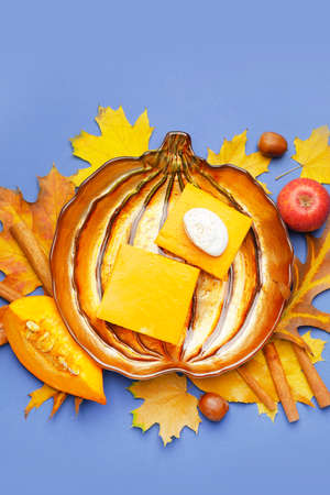 Plate with pieces of tasty pumpkin pie on color backgroundの写真素材