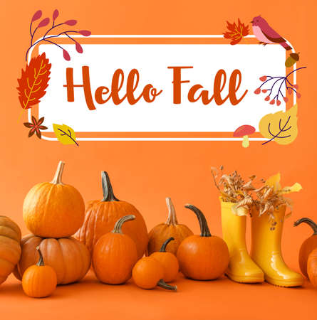 Many fresh pumpkins and gumboots with text HELLO FALL on orange backgroundの写真素材