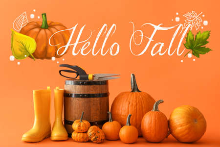 Autumn composition with pumpkins and gumboots on orange backgroundの写真素材