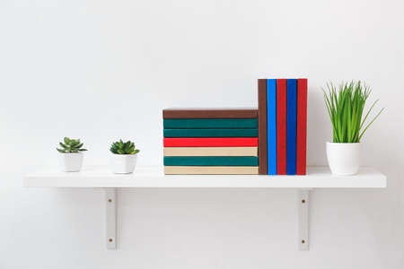Shelf with books and plants on light backgroundの写真素材
