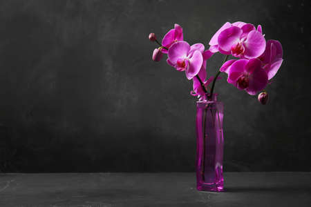 Vase with beautiful orchid flowers on dark backgroundの写真素材
