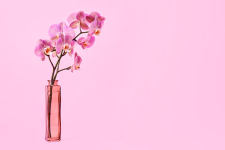Vase with beautiful orchid flowers on color backgroundの写真素材