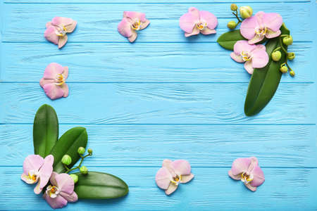 Frame made of beautiful orchid flowers and leaves on color wooden backgroundの写真素材