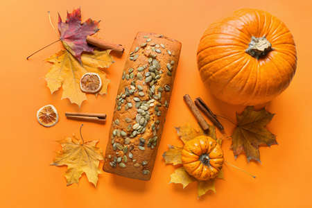 Tasty pumpkin pie on color background