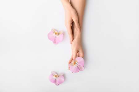 Female hands with beautiful flowers on light backgroundの写真素材