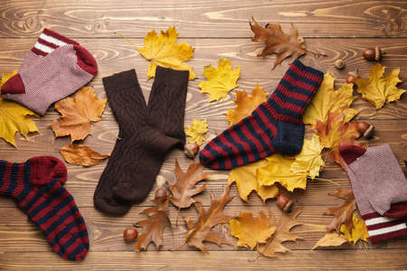 Warm socks and autumn leaves on wooden backgroundの写真素材