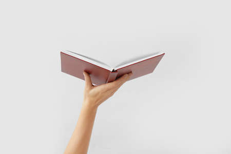 Hand with book on light backgroundの写真素材