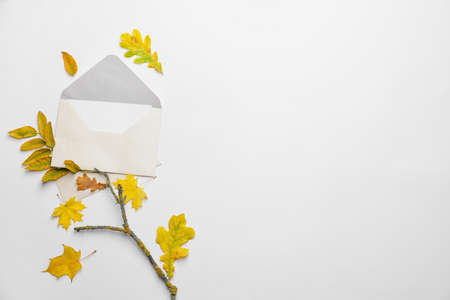 Envelope and autumn leaves on white background