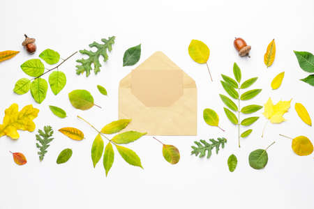 Envelope with blank card and autumn leaves on white backgroundの写真素材