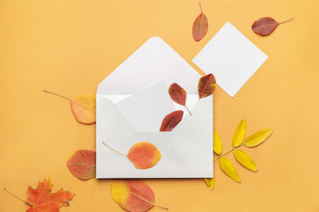 Envelope with blank cards and autumn leaves on color background
