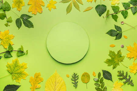 Blank card and autumn leaves on color background