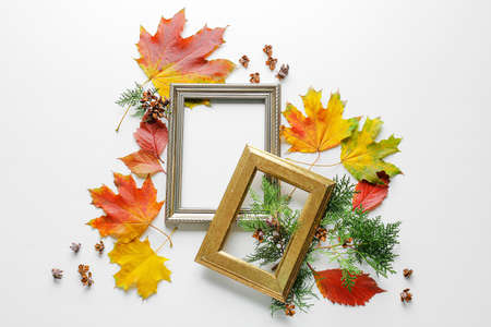 Beautiful autumn composition with leaves and frames on white backgroundの写真素材